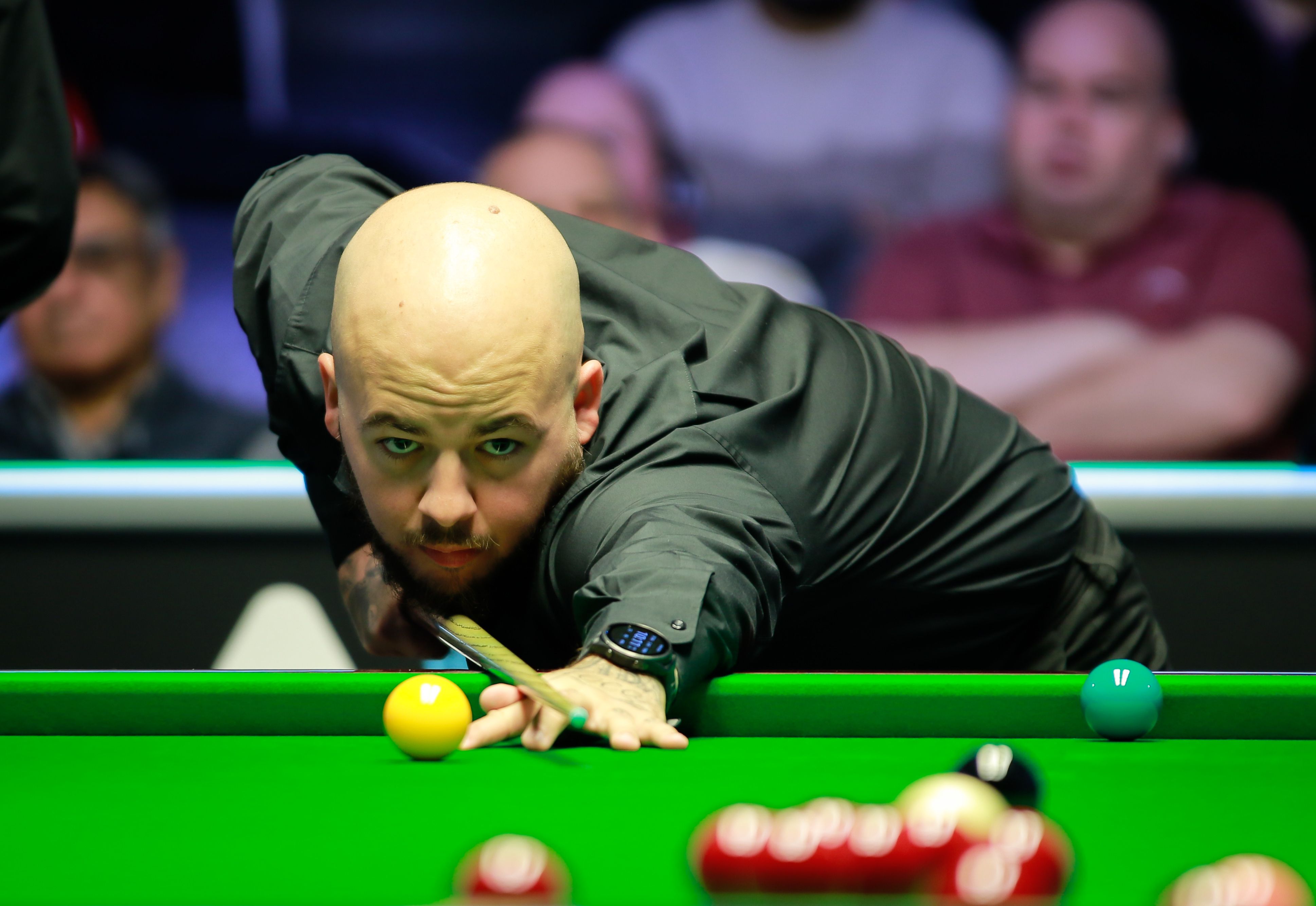 蝴蝶效应 蝴蝶效应